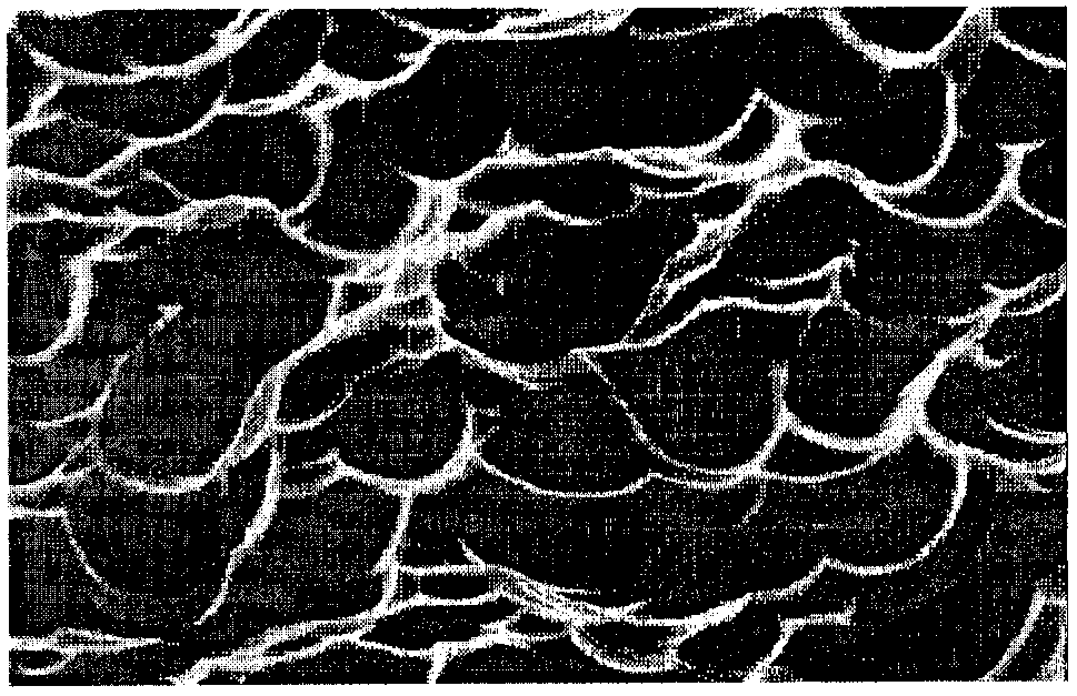 Improved polycrystalline texturing composition and method