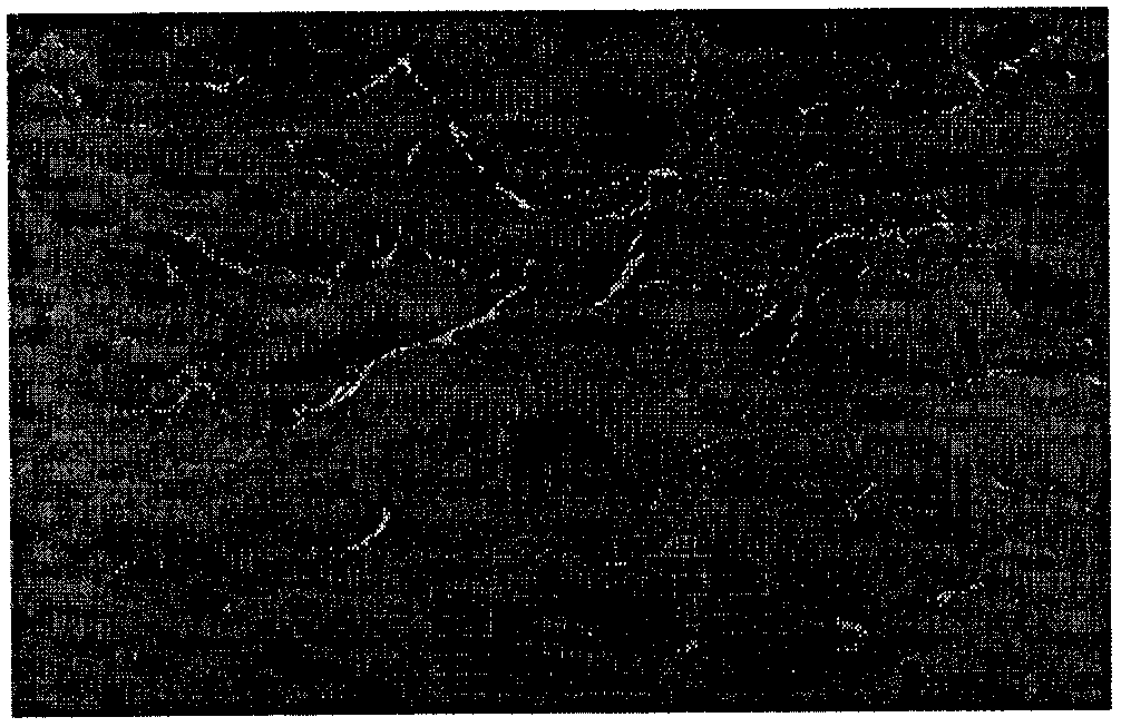 Improved polycrystalline texturing composition and method