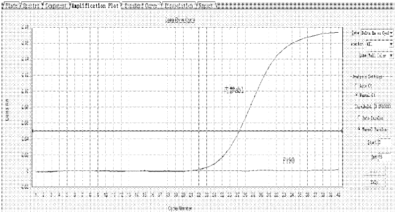 Kit for detecting relative expression index of leukemia BCR/ABL (m-bcr) fusion gene