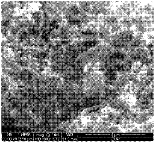 Electromagnetic shielding material with chemically plated iron modified carbon nano-tubes and method for preparing same