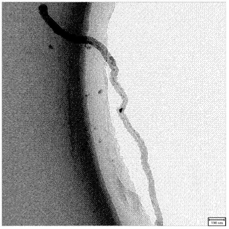 Electromagnetic shielding material with chemically plated iron modified carbon nano-tubes and method for preparing same