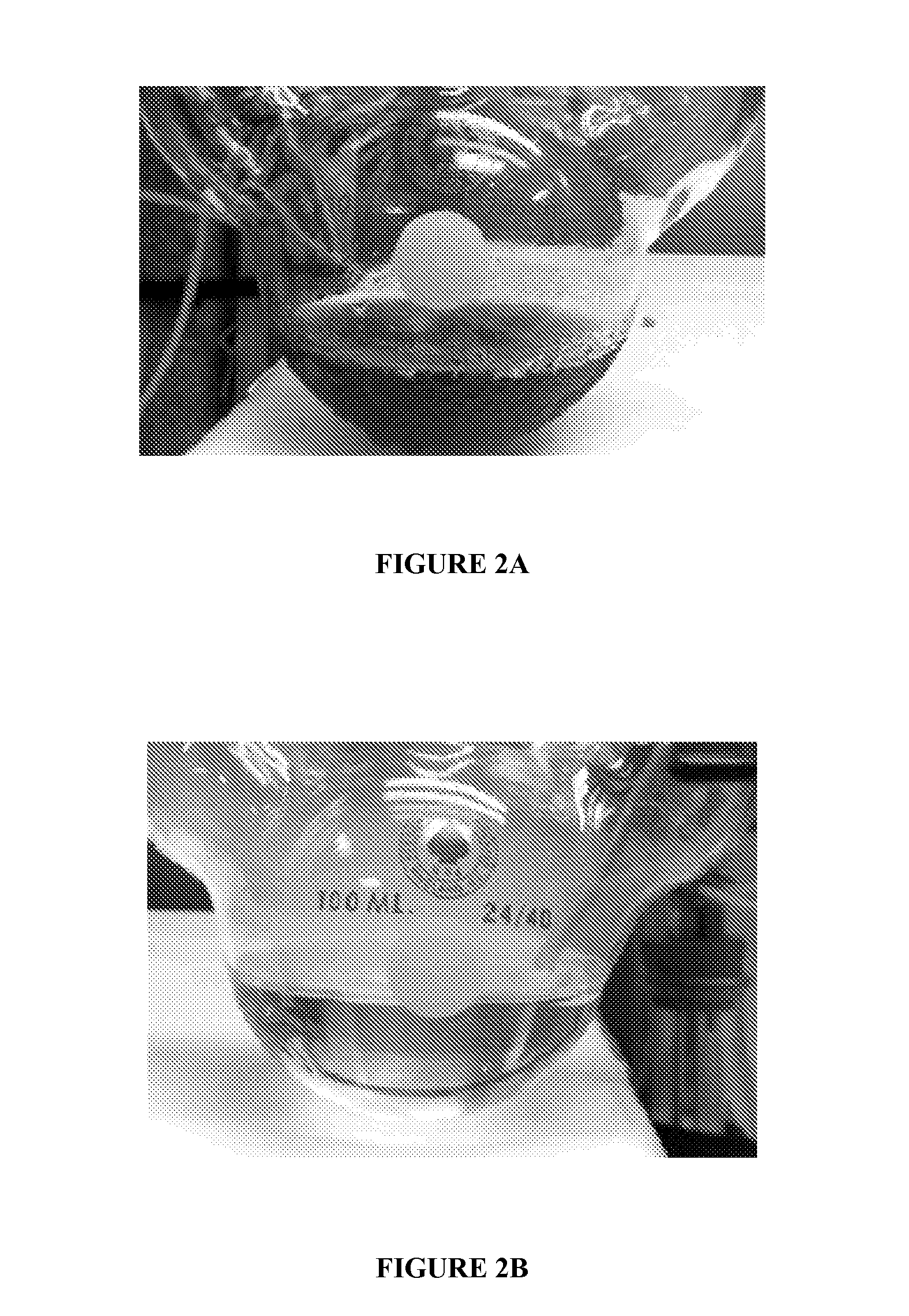 Adducts of Low Molecular Weight PIB With Low Polydispersity and High Vinylidene Content