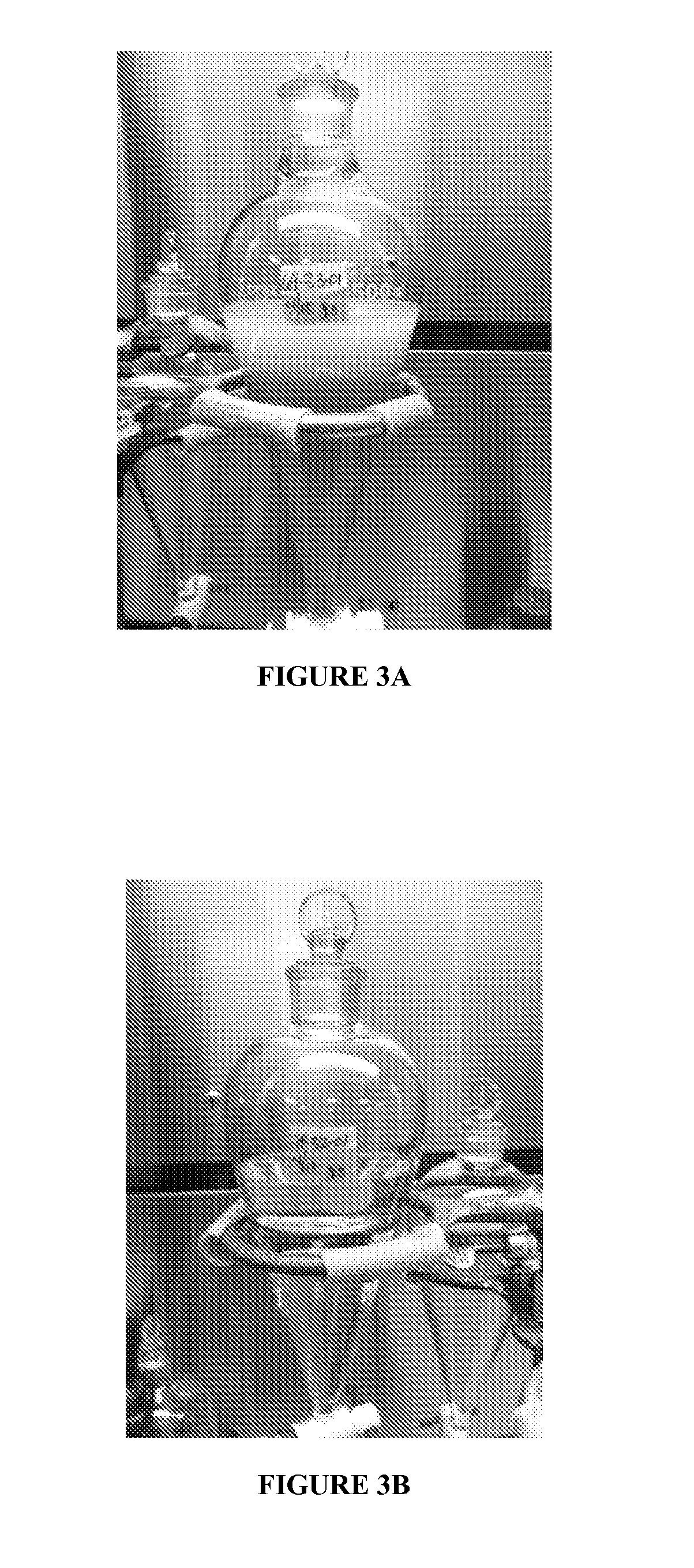 Adducts of Low Molecular Weight PIB With Low Polydispersity and High Vinylidene Content