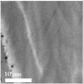 Gallium nitride single crystal with extremely low dislocation density and flux growth method thereof