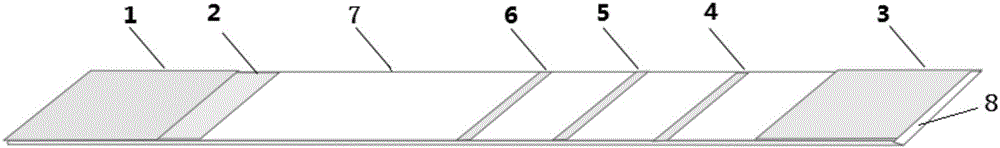 Immunochromatographic detection test strip for joint detection of NSE and CEA, and preparation method and application method thereof