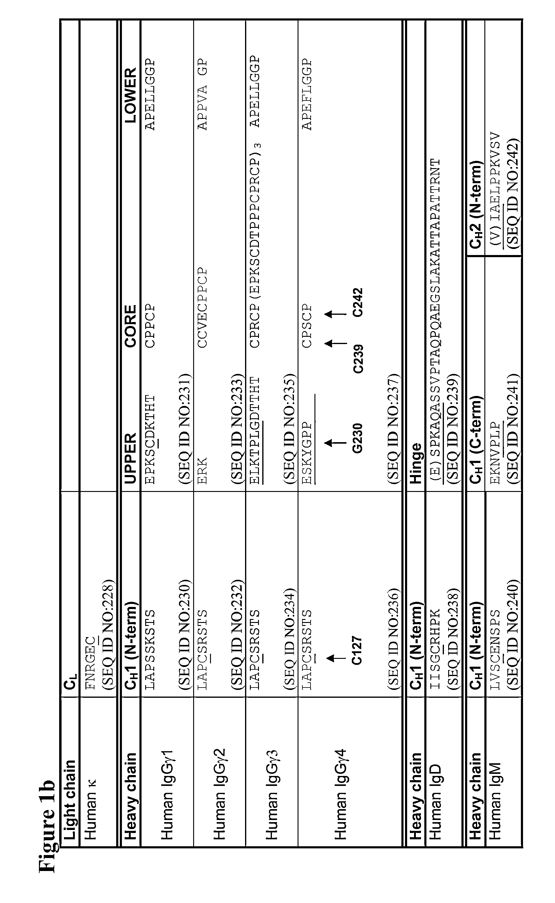 Sequence Symmetric Modified IgG4 Bispecific Antibodies