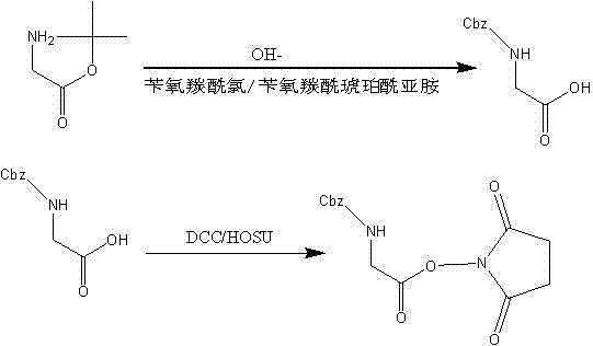 Method for synthesizing tetra-glycylglycine