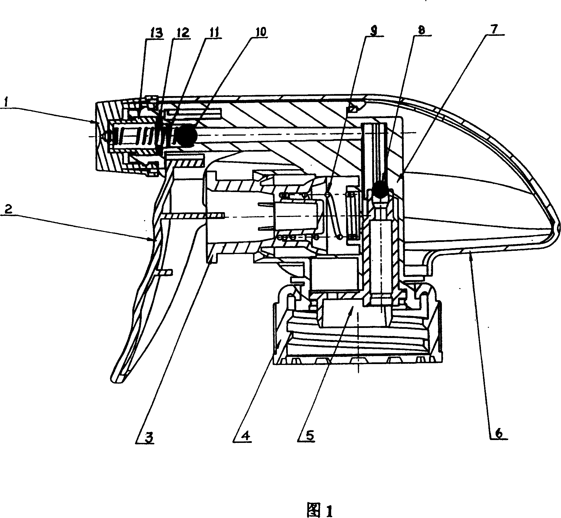 Carrier style hand sprayer