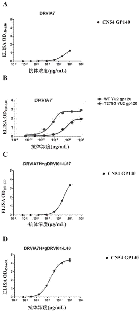 HIV-1 broadly neutralizing antibody and use thereof