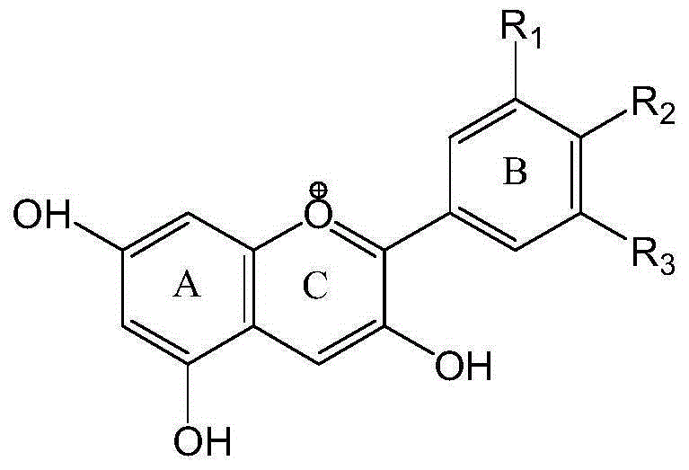 Preparation method of high-stability cellulose base natural edible anthocyan pigment compound