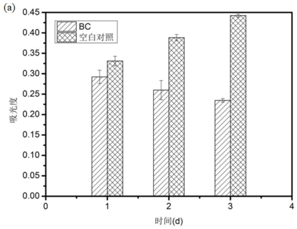 Preparation method of dipeptide-bacterial cellulose membrane