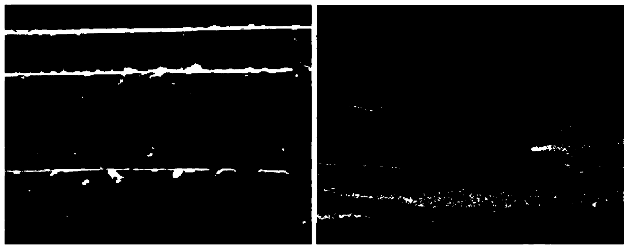 Method for preparing carbon nanotube array supported lithium titanate flexible electrode material