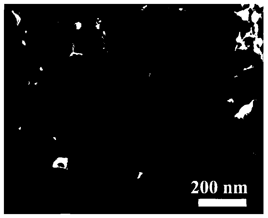 Method for preparing carbon nanotube array supported lithium titanate flexible electrode material