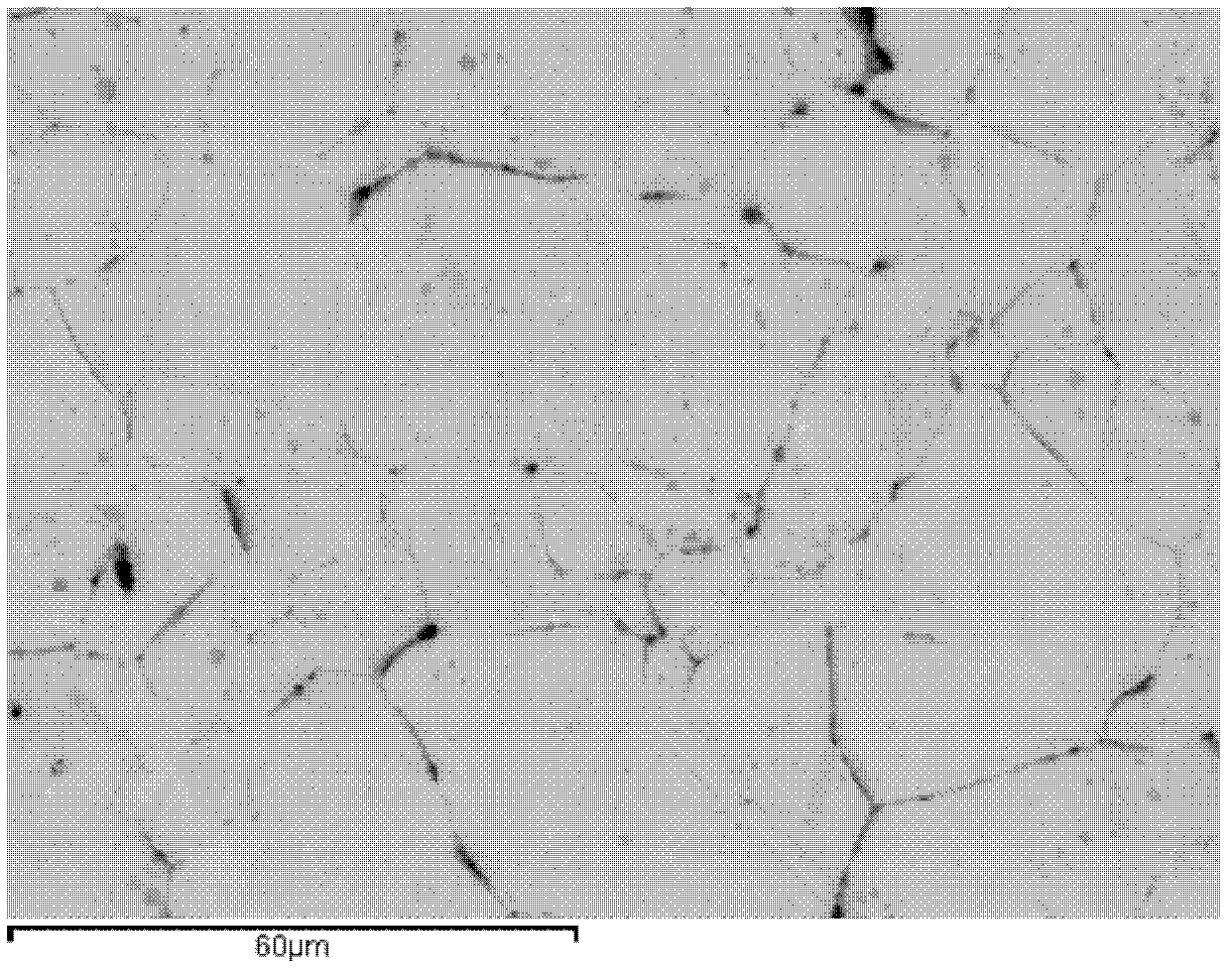 Silver-containing austenitic antimicrobial stainless steel and manufacturing method thereof