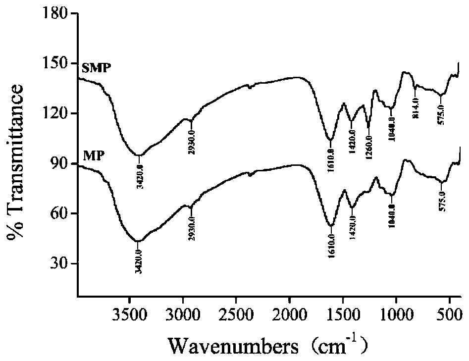 Sulfated mesona chinensis benth polysaccharide and preparation method thereof