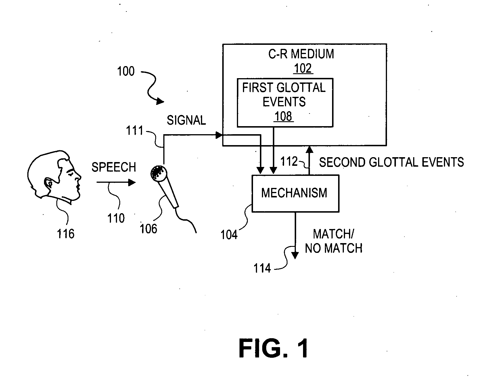 Locating and confirming glottal events within human speech signals