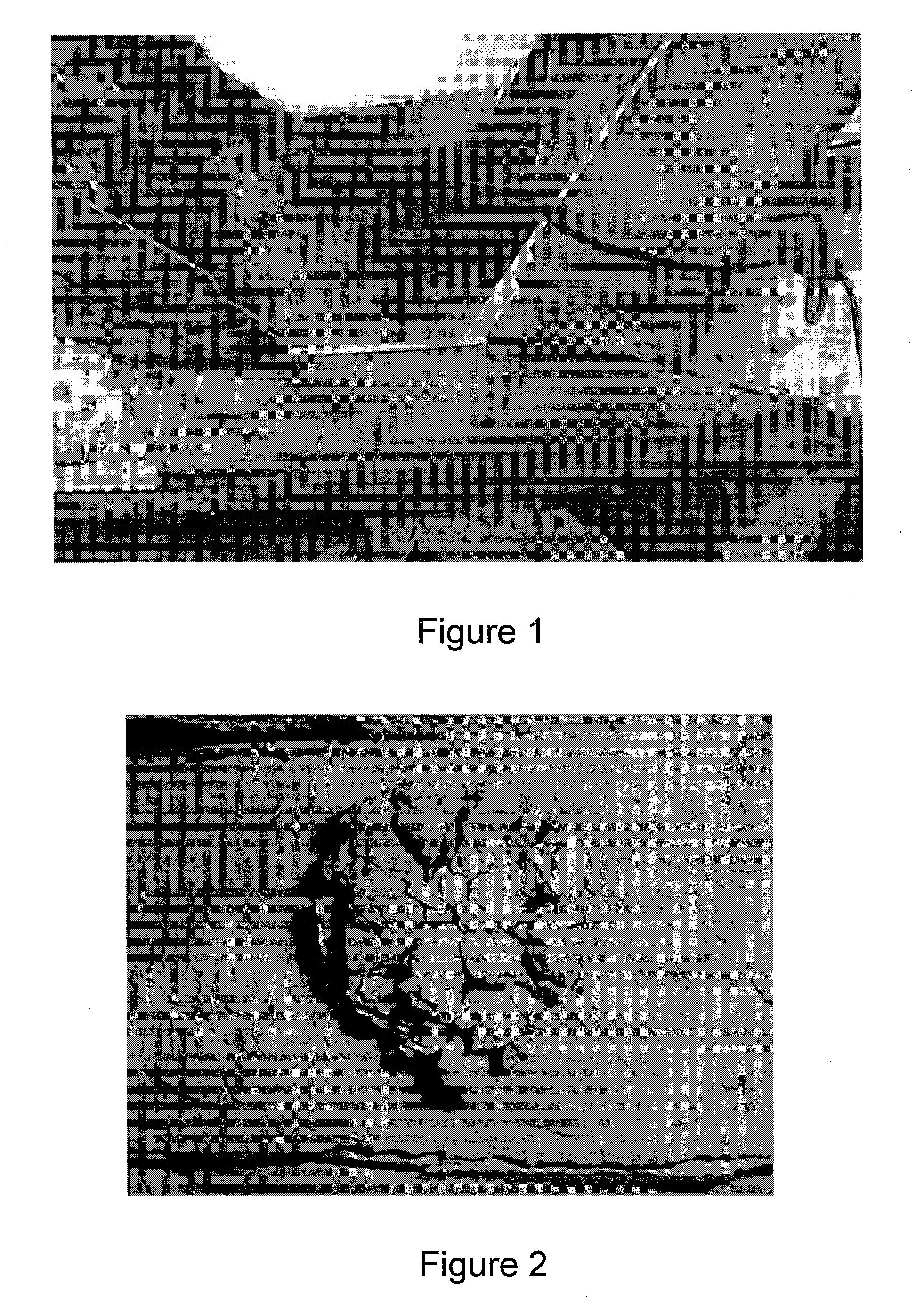 Method and apparatus for rivet removal and in-situ rehabilitation of large metal structures