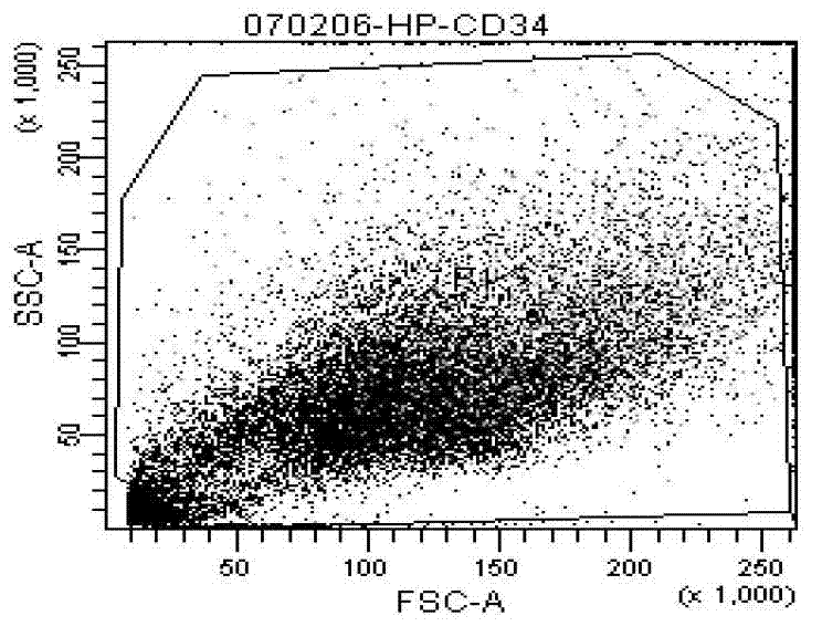 Inducer for inducing directional differentiation of umbilical cord mesenchymal stem cells into bladder smooth muscle cells, and preparation and application thereof