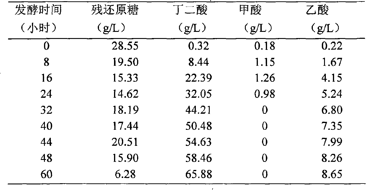 Method for producing succinic acid by Canna edulis ker fermentation