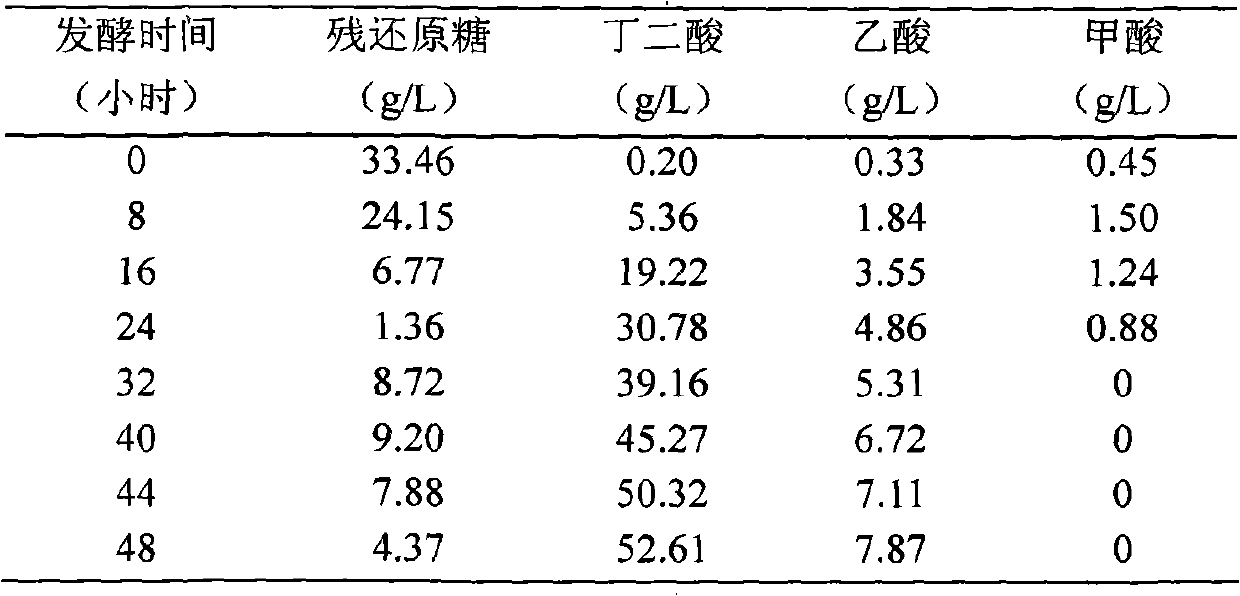 Method for producing succinic acid by Canna edulis ker fermentation