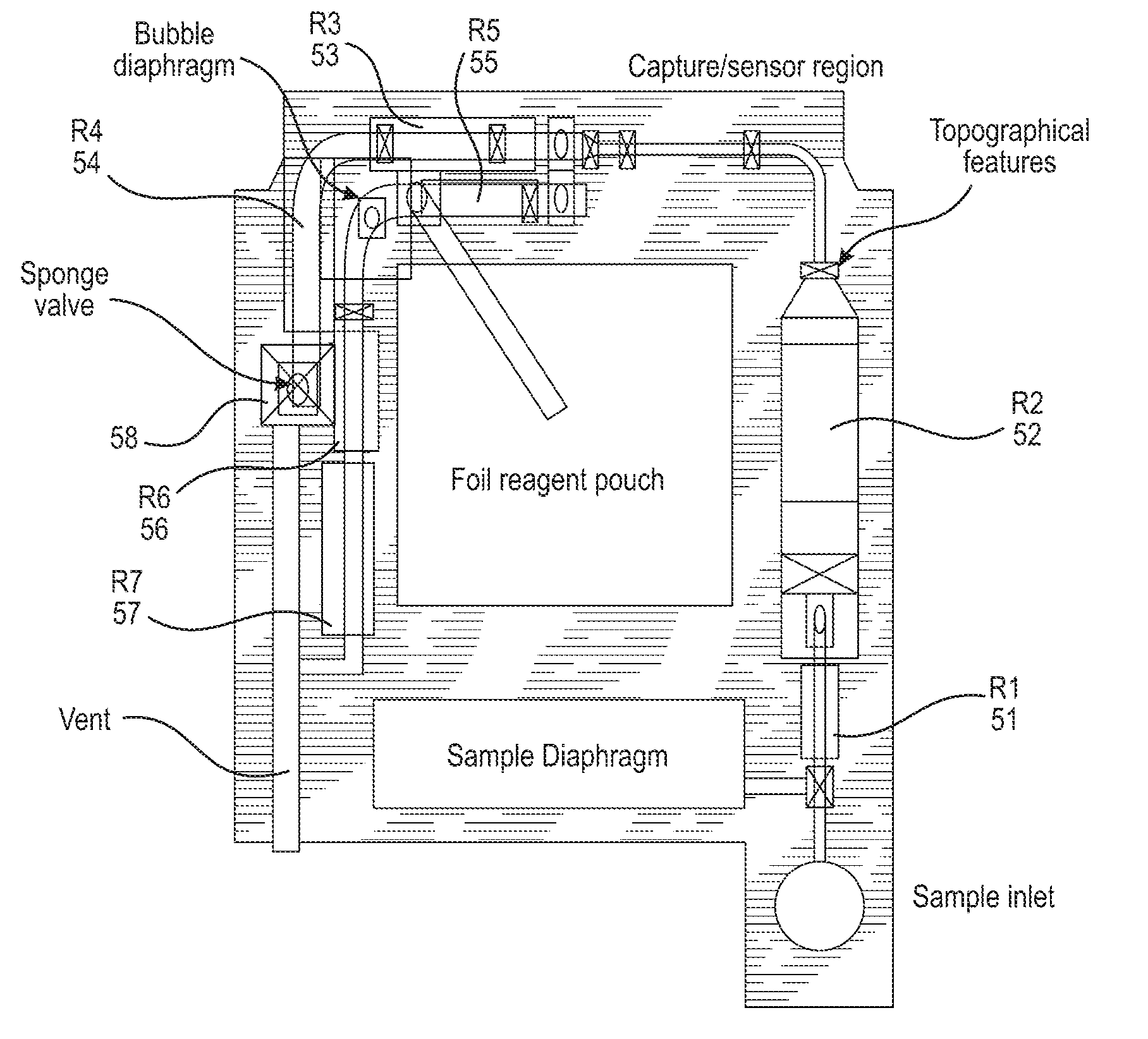 Method and device for immunoassay using nucleotide conjugates