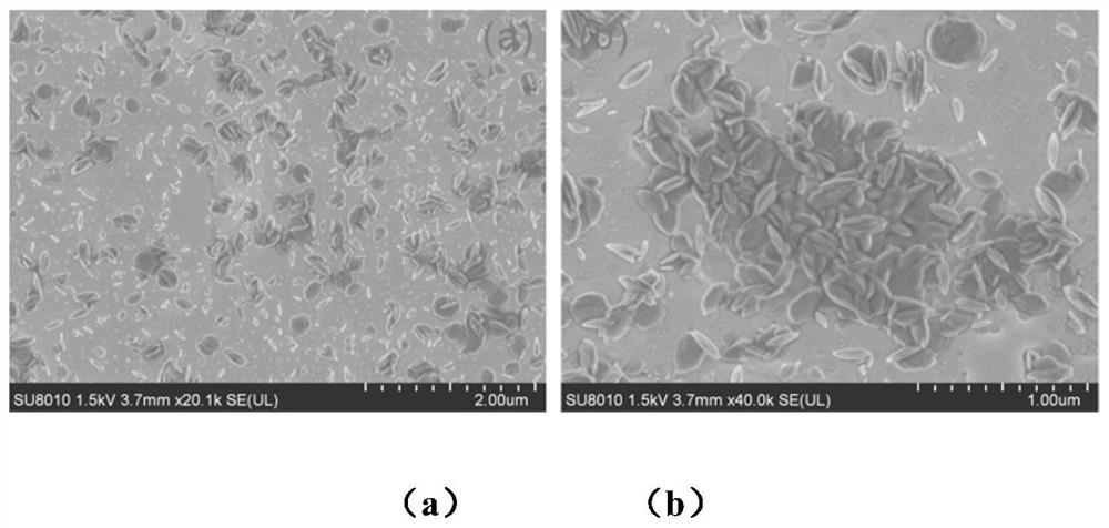 A kind of preparation method of monoclinic zirconia nano product