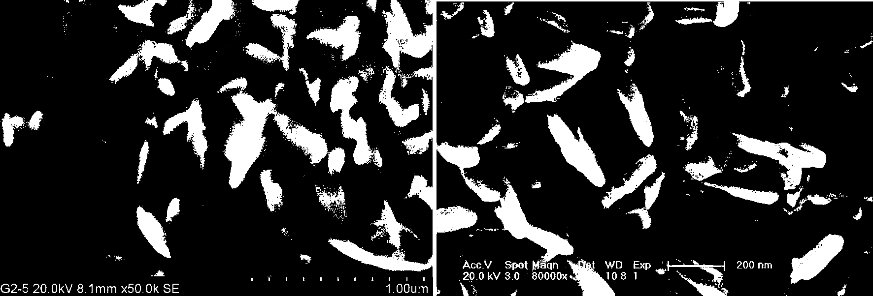 Preparation method of monocrystalline AlN nanocones and nanosheets