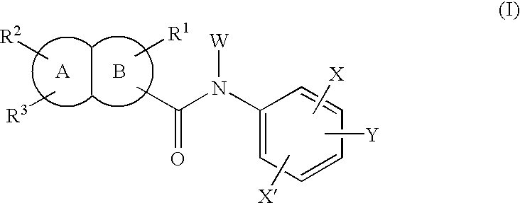 Fused bicyclic amide compounds and medicinal use thereof