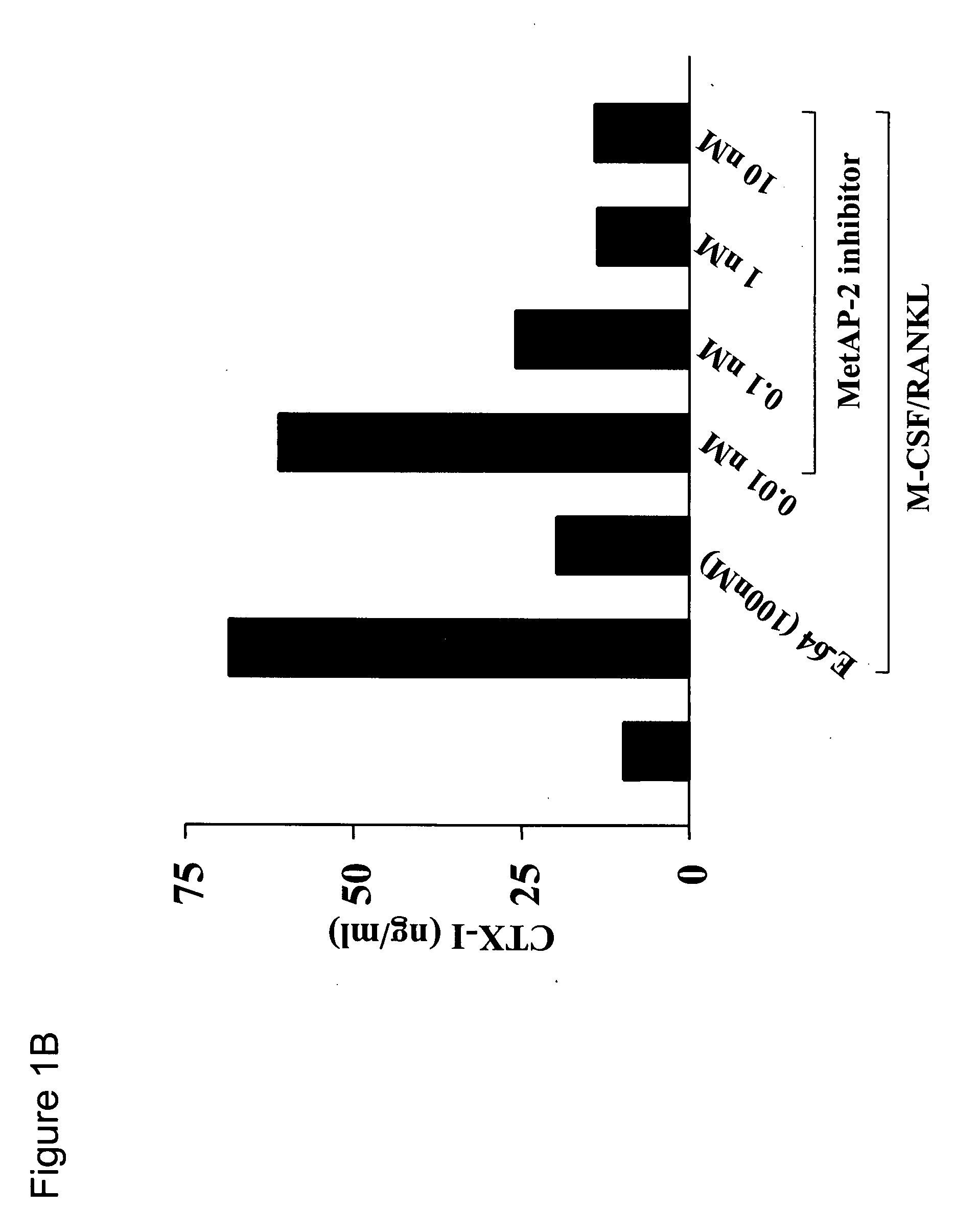 Methods for treating bone associated diseases by the use of methionine aminopeptidase-2 inhibitors