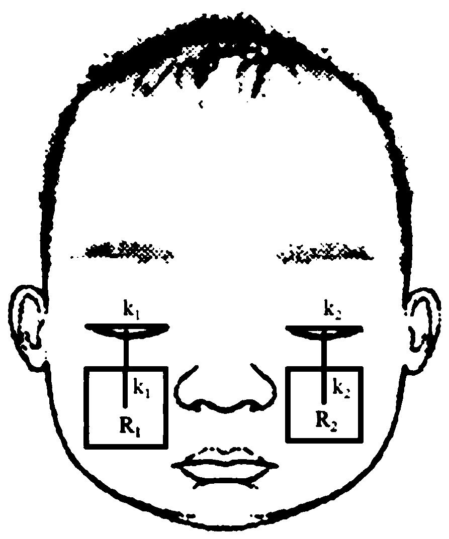 Non-contact newborn heart rate monitoring method and system based on face video