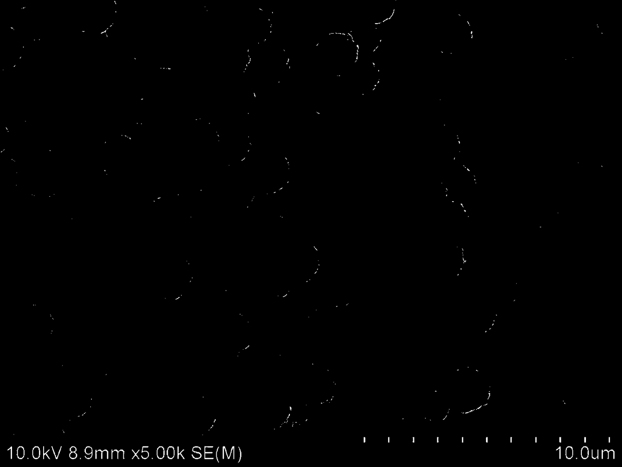 A kind of silver powder for solar cell conductive silver paste and its preparation and application