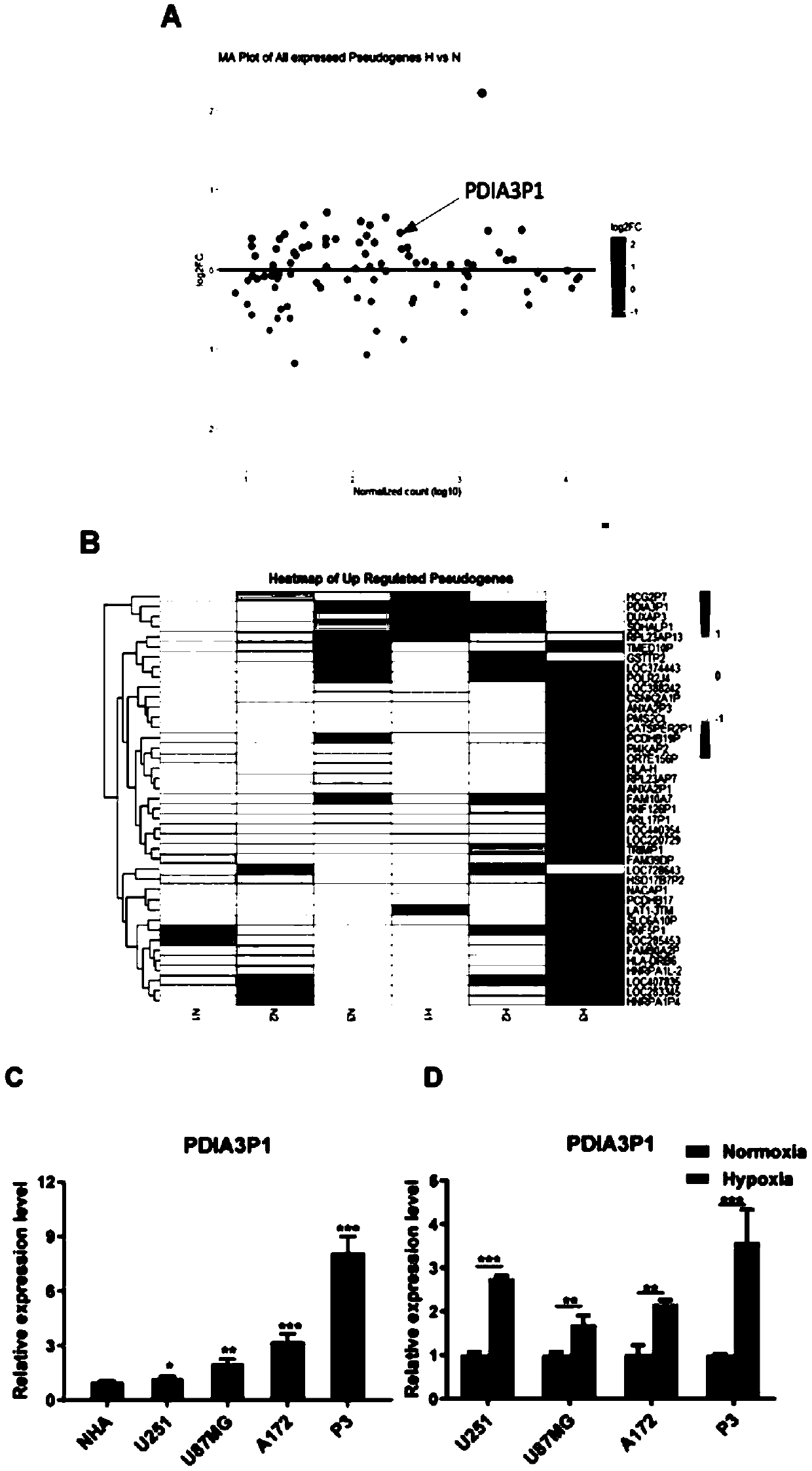 Application of PDIA3P1 as glioma prognostic marker