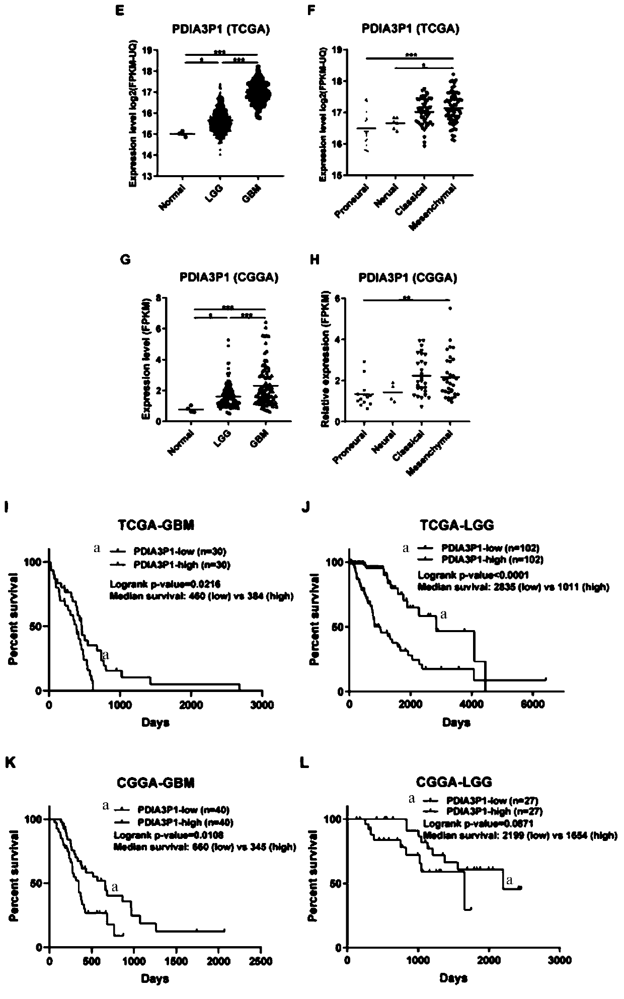 Application of PDIA3P1 as glioma prognostic marker