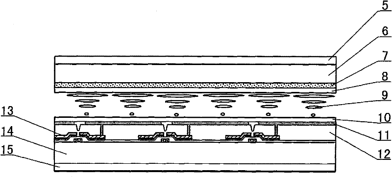 Display device of built-in sensitive device