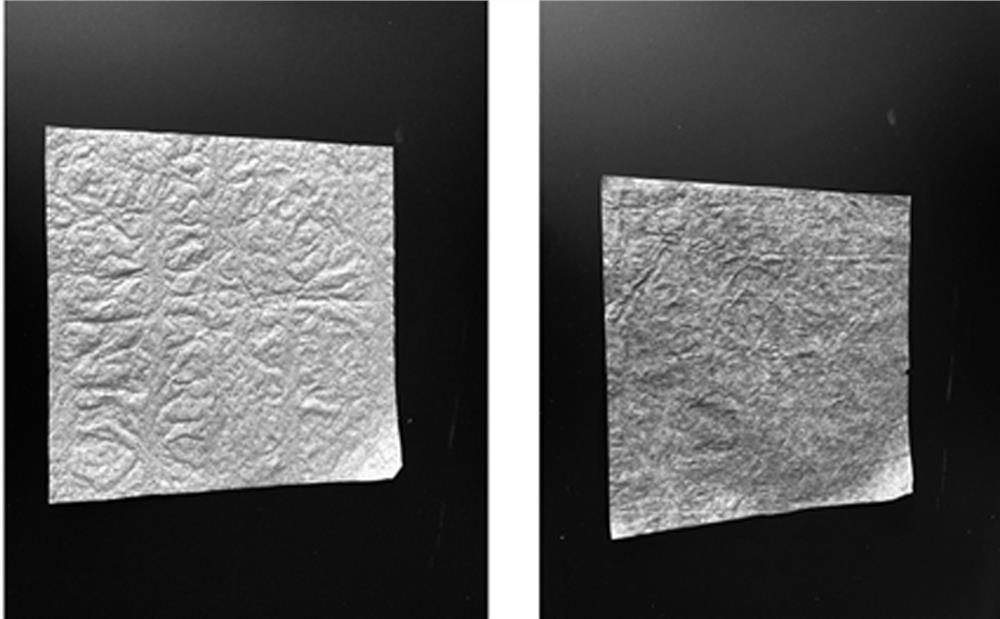 Tobacco stem multistage utilization method based on supercritical CO2 extraction technology