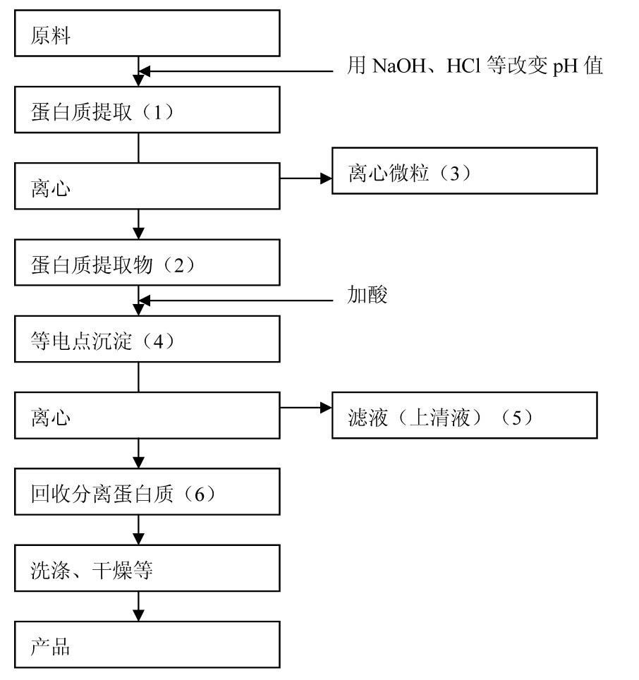 Method for isolating protein from food