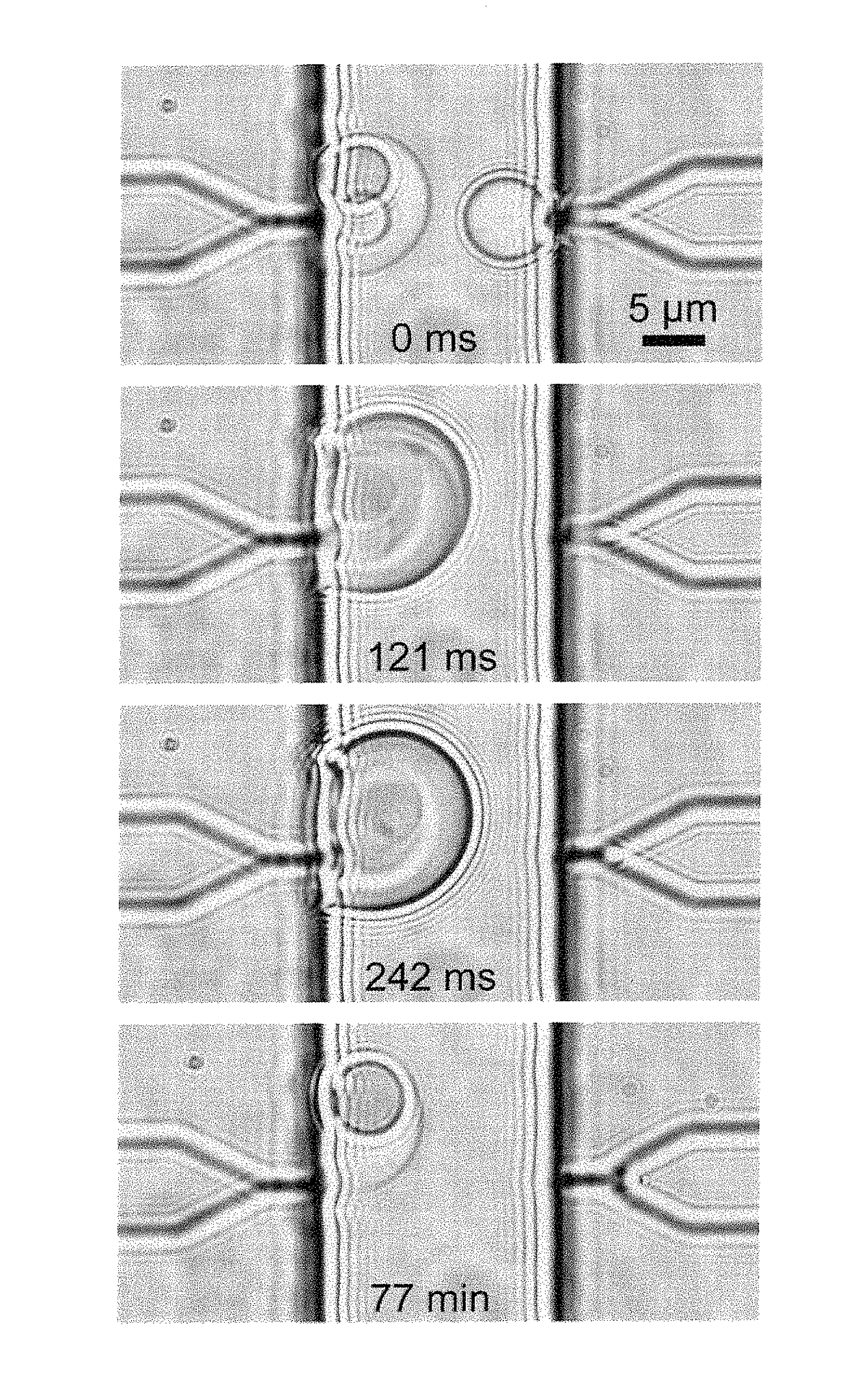 Reversible, on-demand generation of aqueous two-phase microdroplets