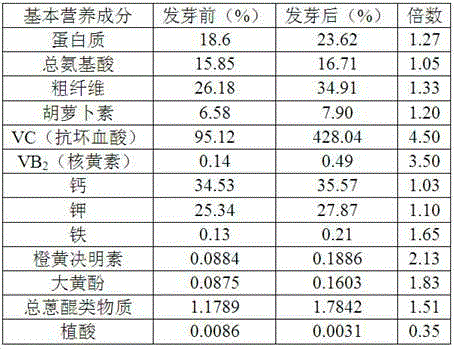 Semen cassia imitation coffee drink and preparation method thereof