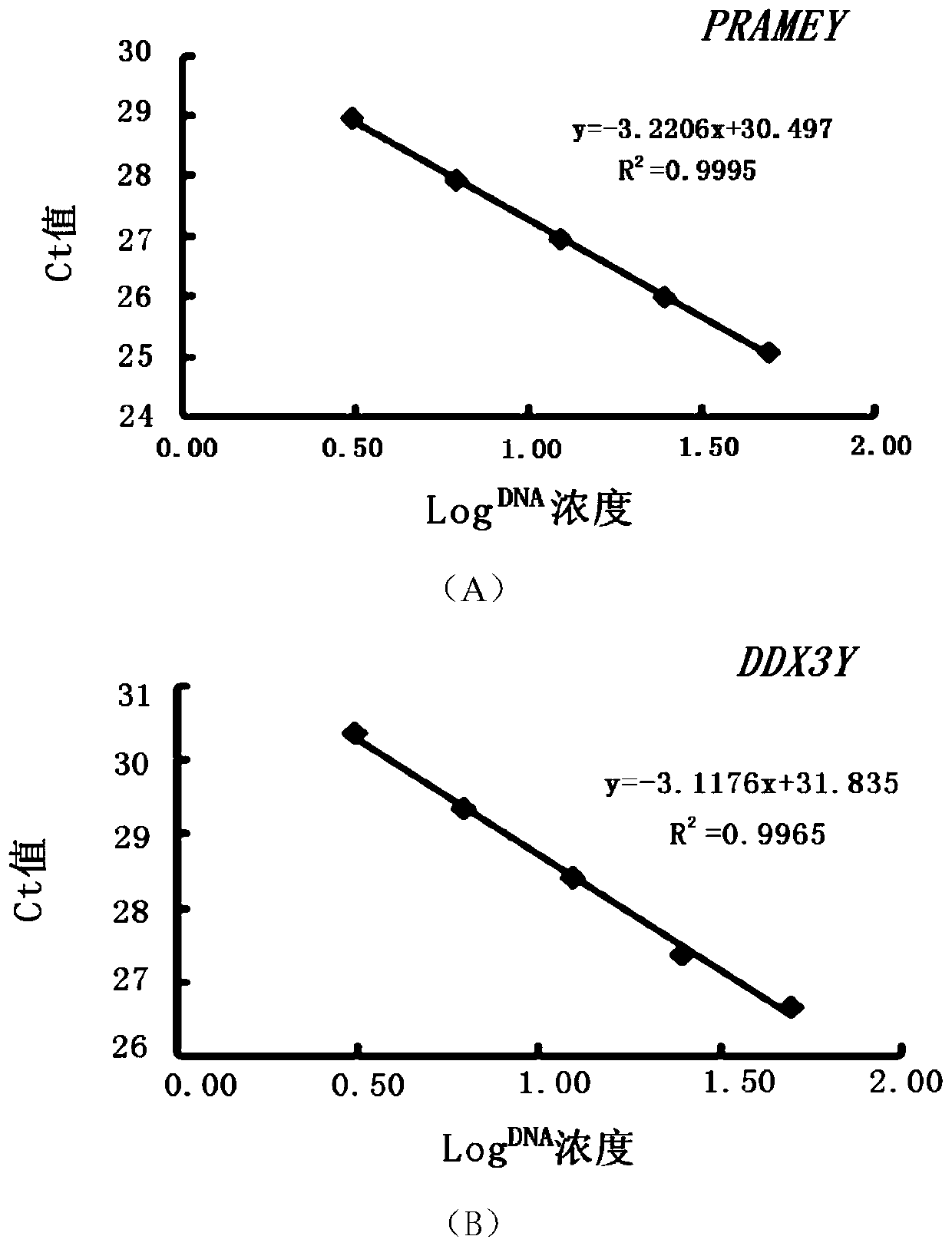 Method for detecting sheep PRAMEY gene copy number variation and application thereof