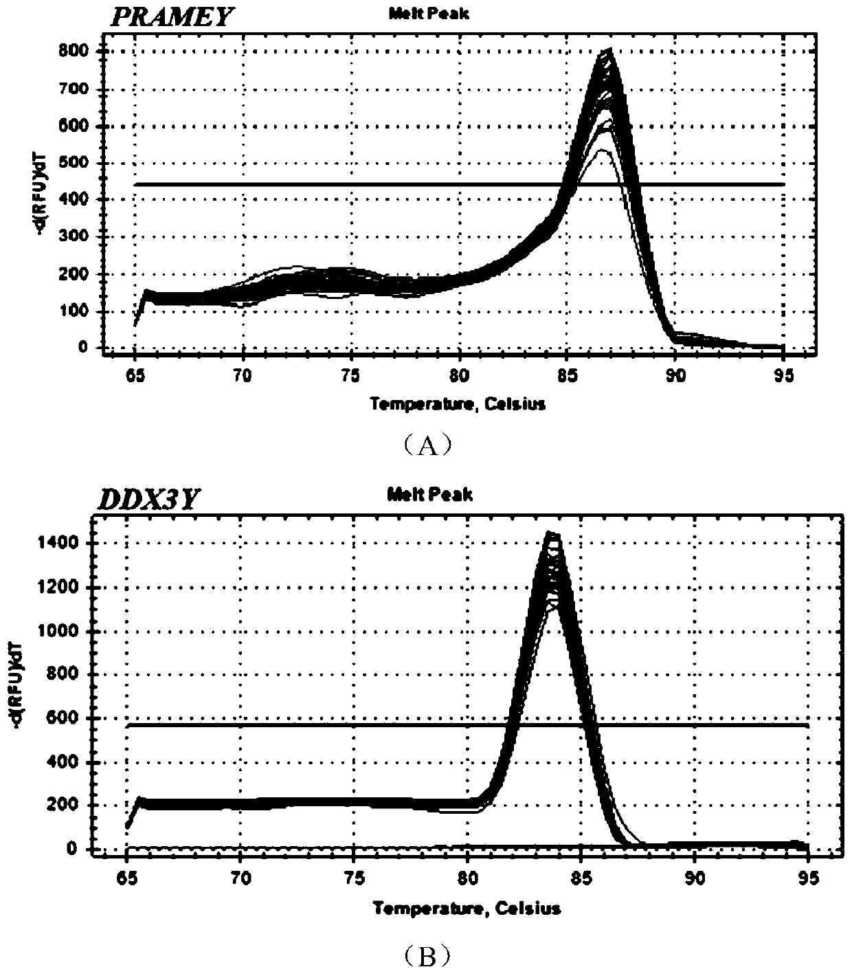 Method for detecting sheep PRAMEY gene copy number variation and application thereof