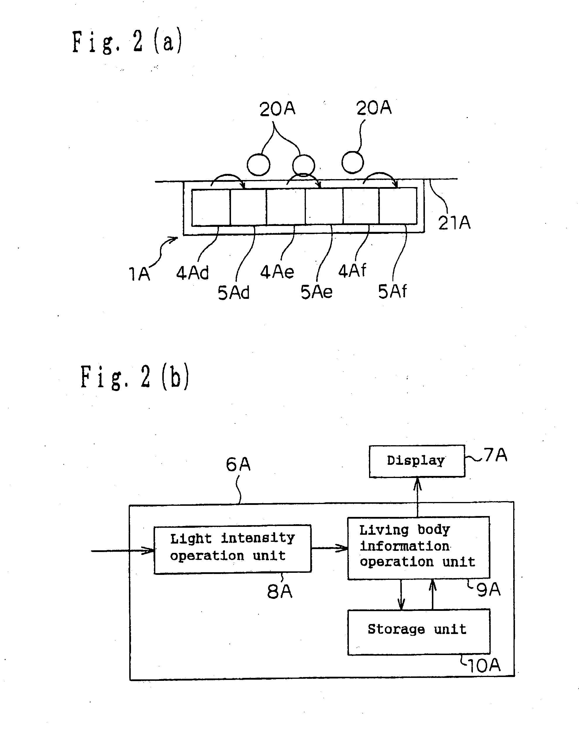 Living body information measuring apparatus, living body information measuring method, body fat measuring apparatus, body fat measuring method, and program recording medium