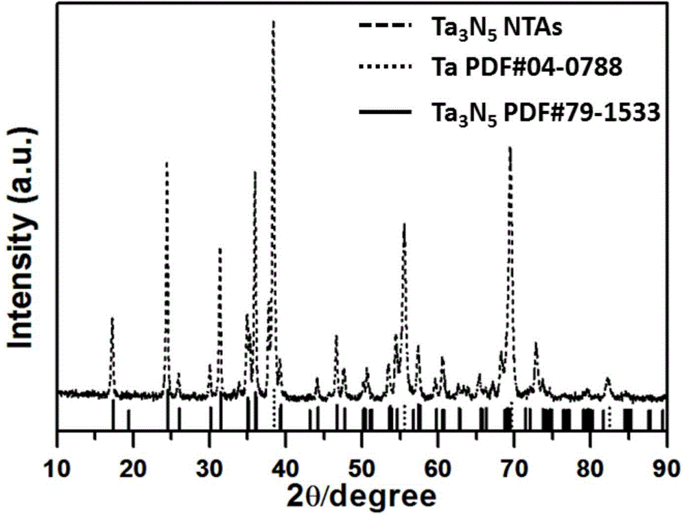 Tantalum nitride nanotube array electrode and preparation method thereof