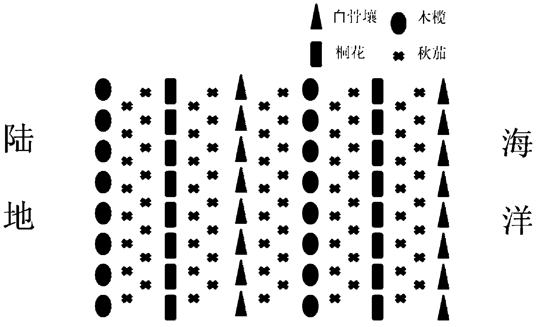 Method for planting mixed mangrove forest in groups