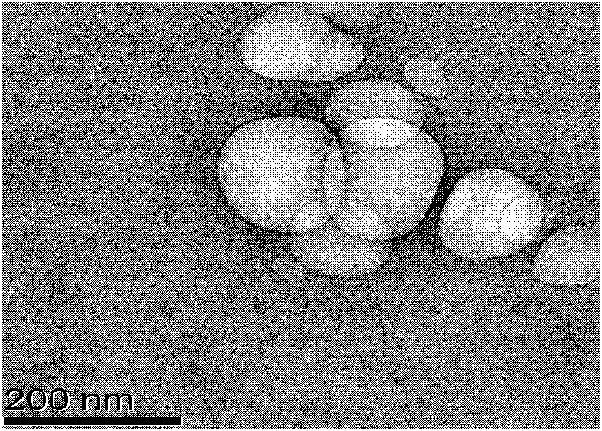 DSPE-PEG-FA-modified nanometer paclitaxel liposome and preparation method thereof