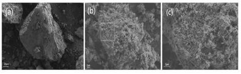 Preparation method and application of copper selenide nano material based on eggshell template