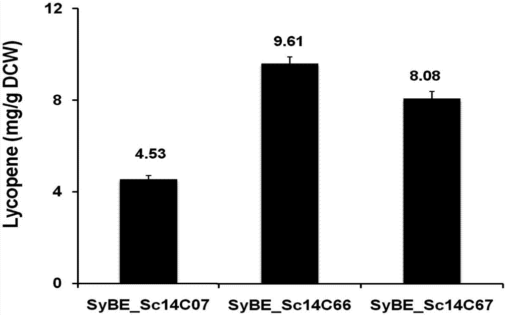 Recombinant yeast strain and application thereof