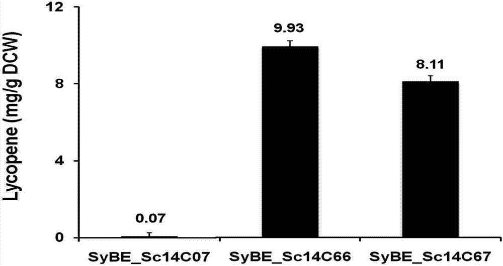 Recombinant yeast strain and application thereof