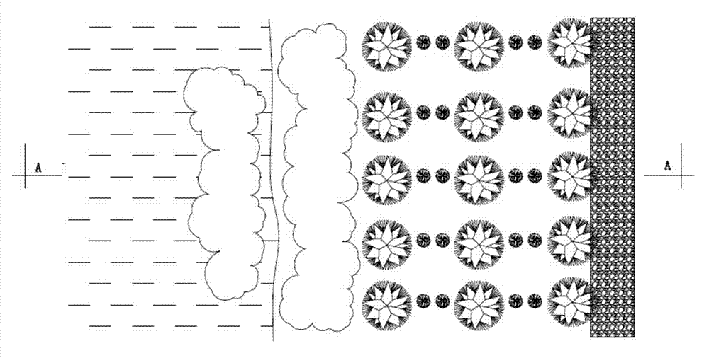 Ecologic healthcare soil fixation protection slope and construction method thereof