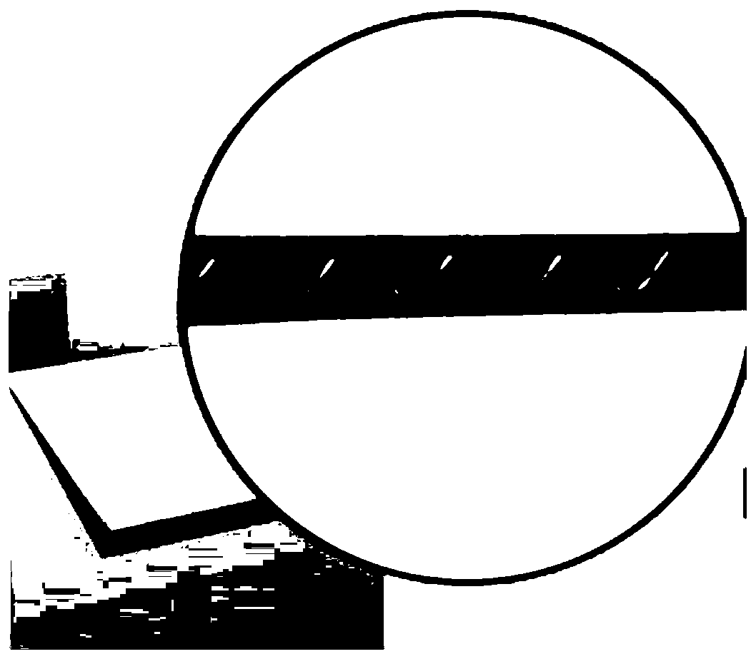 Renewable resource foaming material and preparation method thereof