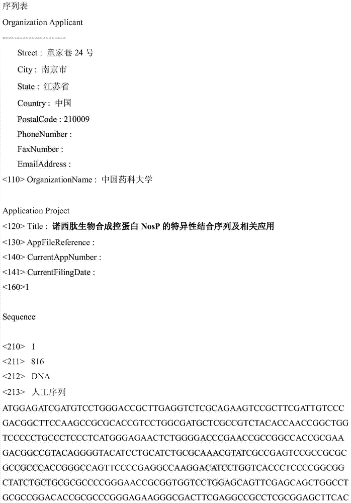 Nosiheptide biosynthetic regulatory protein NosP specific binding sequence and related application thereof